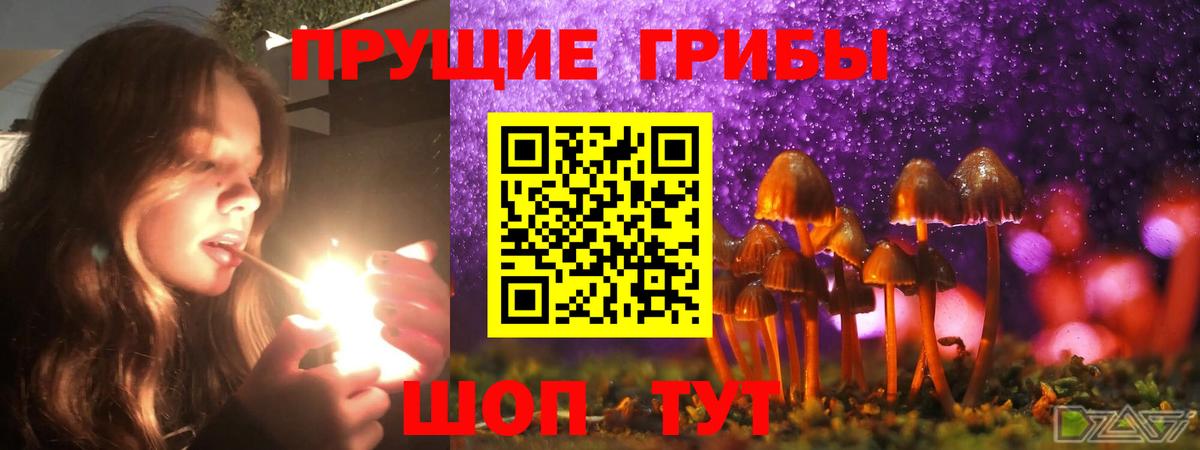 Апатиты  Псилоцибиновые грибы мухоморы  Галлюциногенные грибы мухоморы  Вход с VPN 